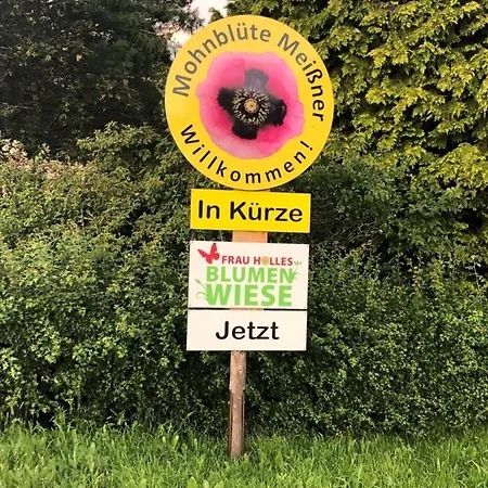 “mount Meissner” *