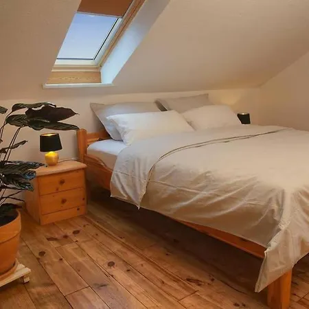 “mount Meissner” Apartment