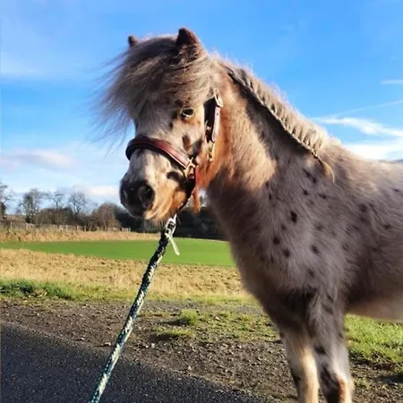 “mount Meissner” * Germerode