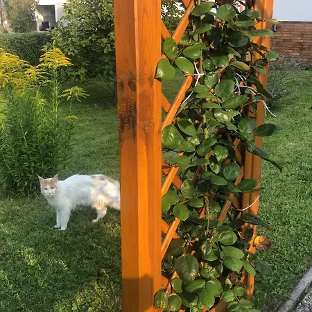 “mount Meissner” アパート Germerode