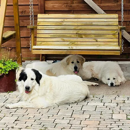 “mount Meissner” Germerode