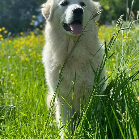 “mount Meissner” Germerode