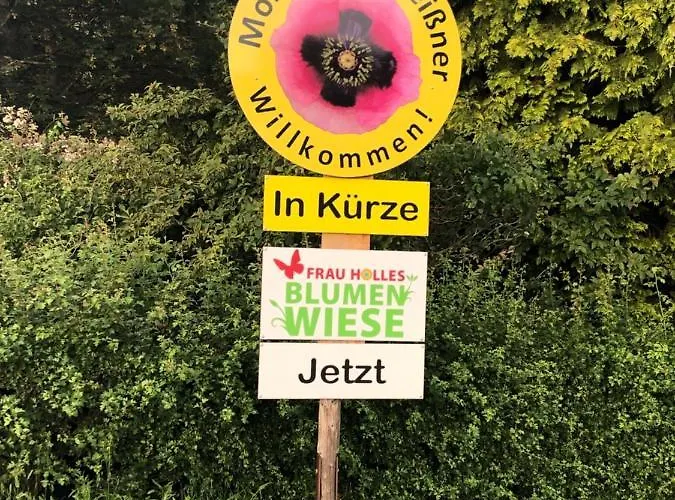 “mount Meissner” *