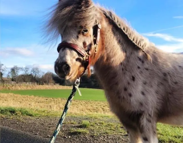 “mount Meissner” * Germerode
