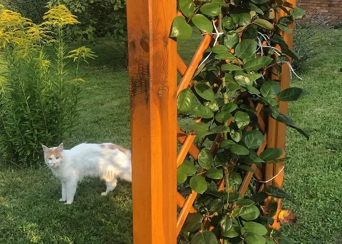 “mount Meissner” Apartment Germerode