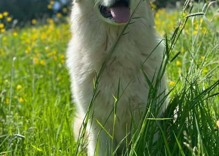 “mount Meissner” Germerode